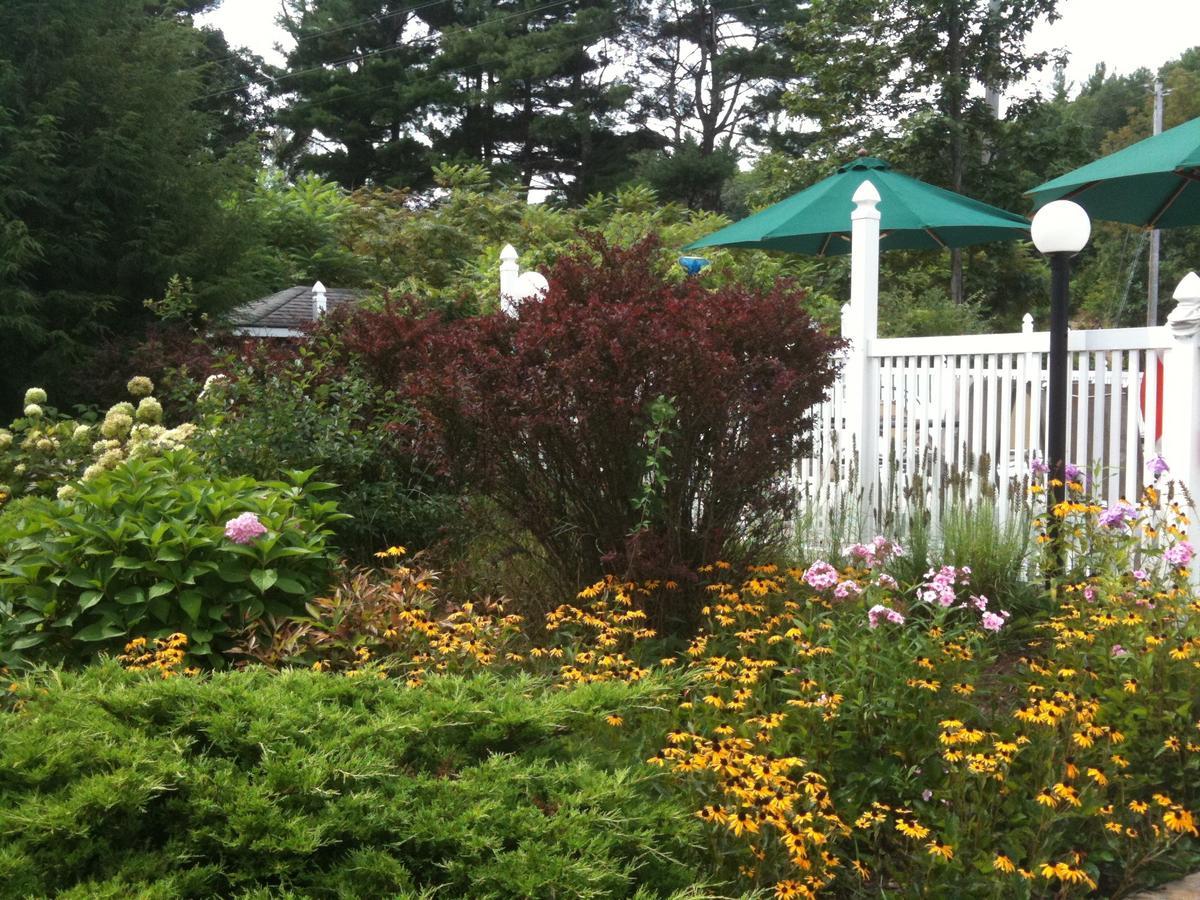 Lyn Aire Motel - Lac George Extérieur photo
